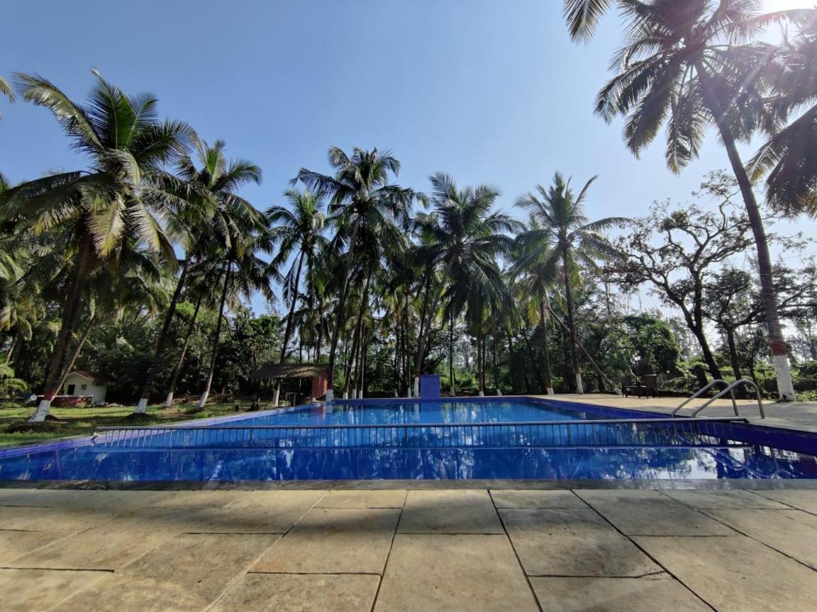 White House Beach Resort, Nagaon Exteriör bild